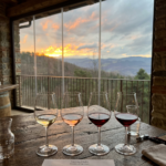 wine tasting